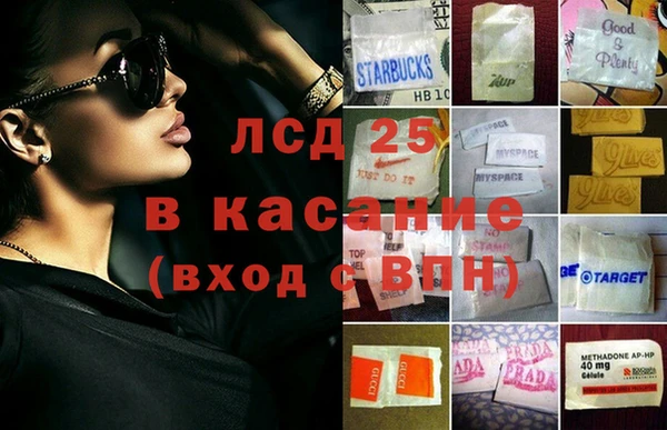 прущие грибы Абдулино
