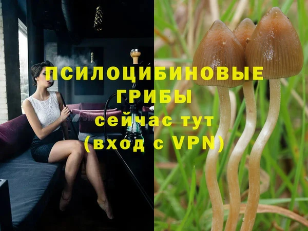 ALPHA-PVP Сафоново