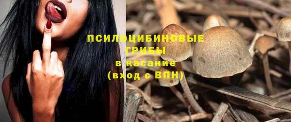 прущие грибы Саяногорск