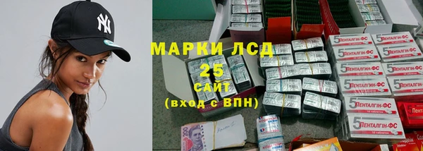 прущие грибы Саяногорск