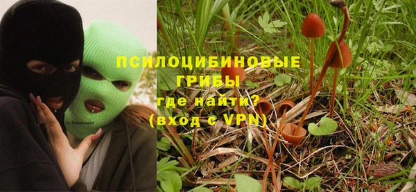 PSILOCYBIN Всеволожск